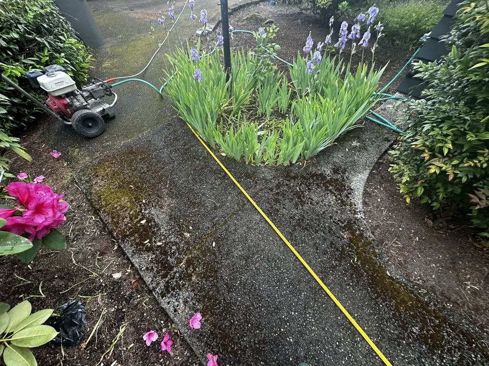 Slide of Apex Pro Kleening