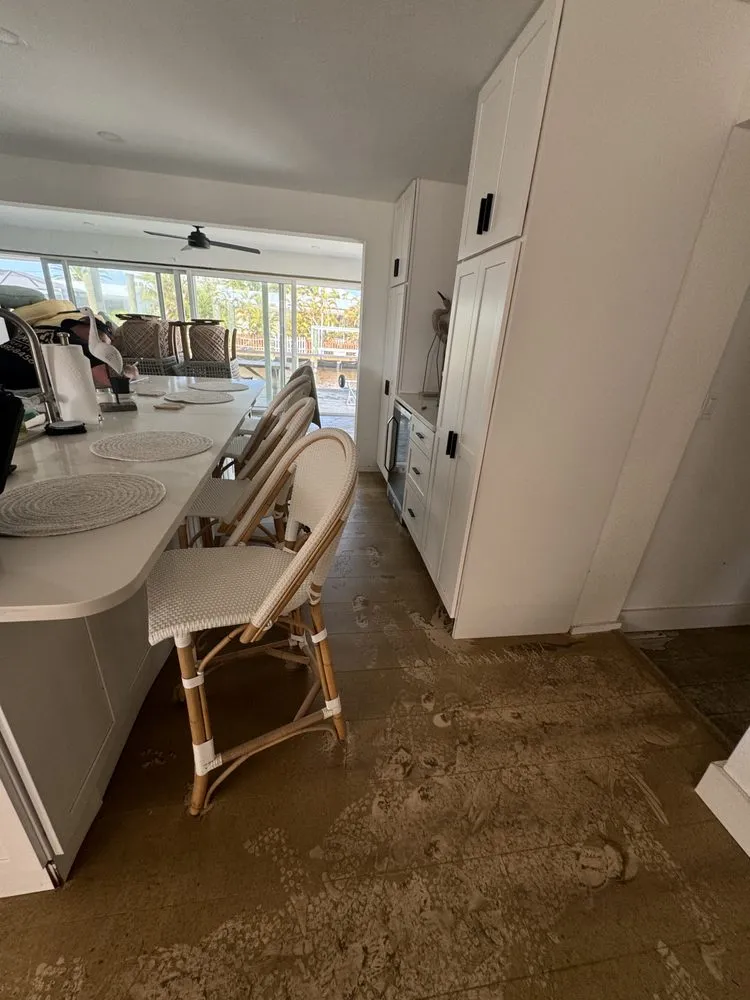 Slide of Apex Restoration