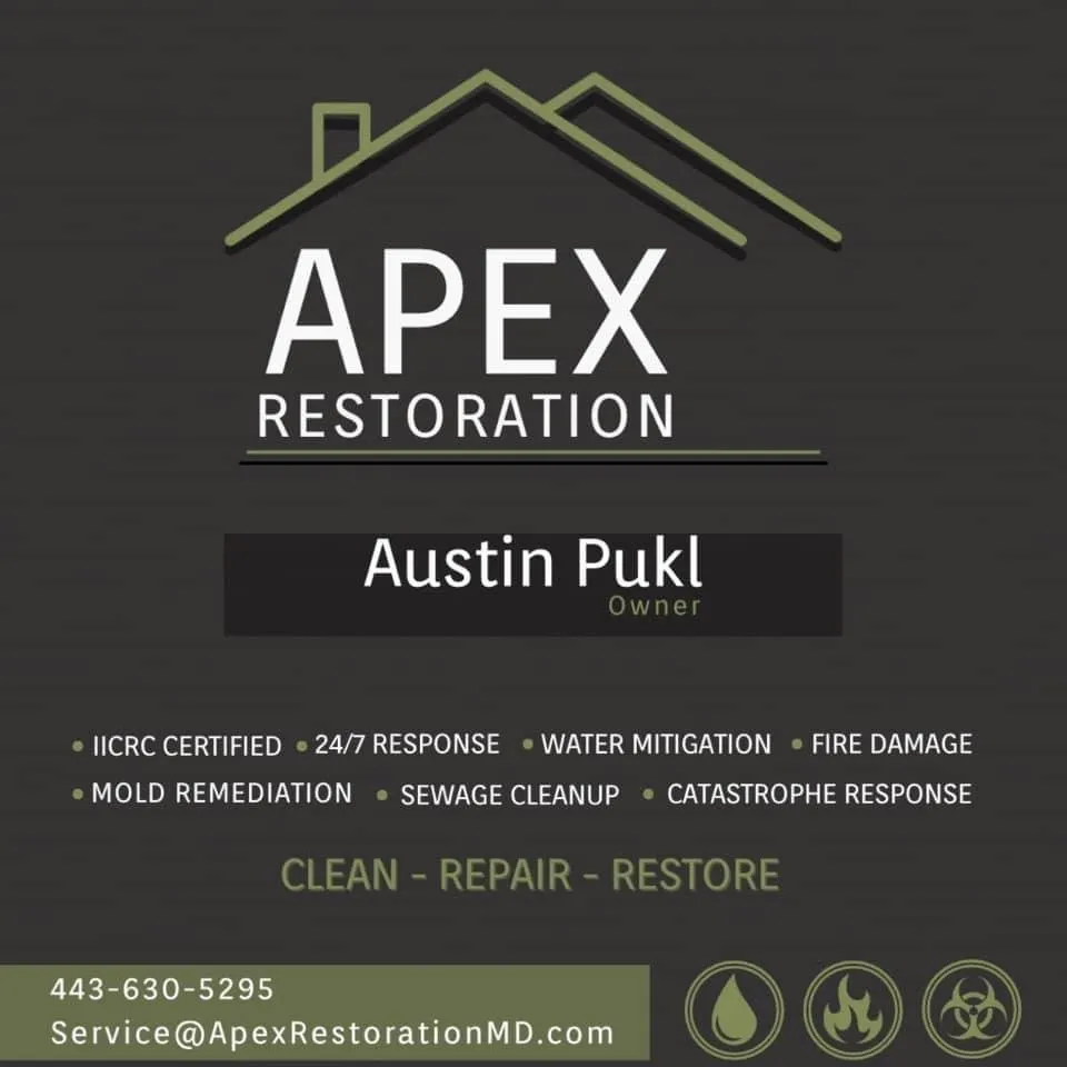 Slide of Apex Restoration