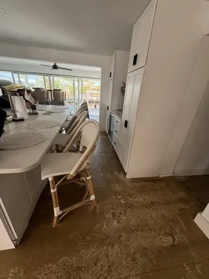 Apex Restoration Logo