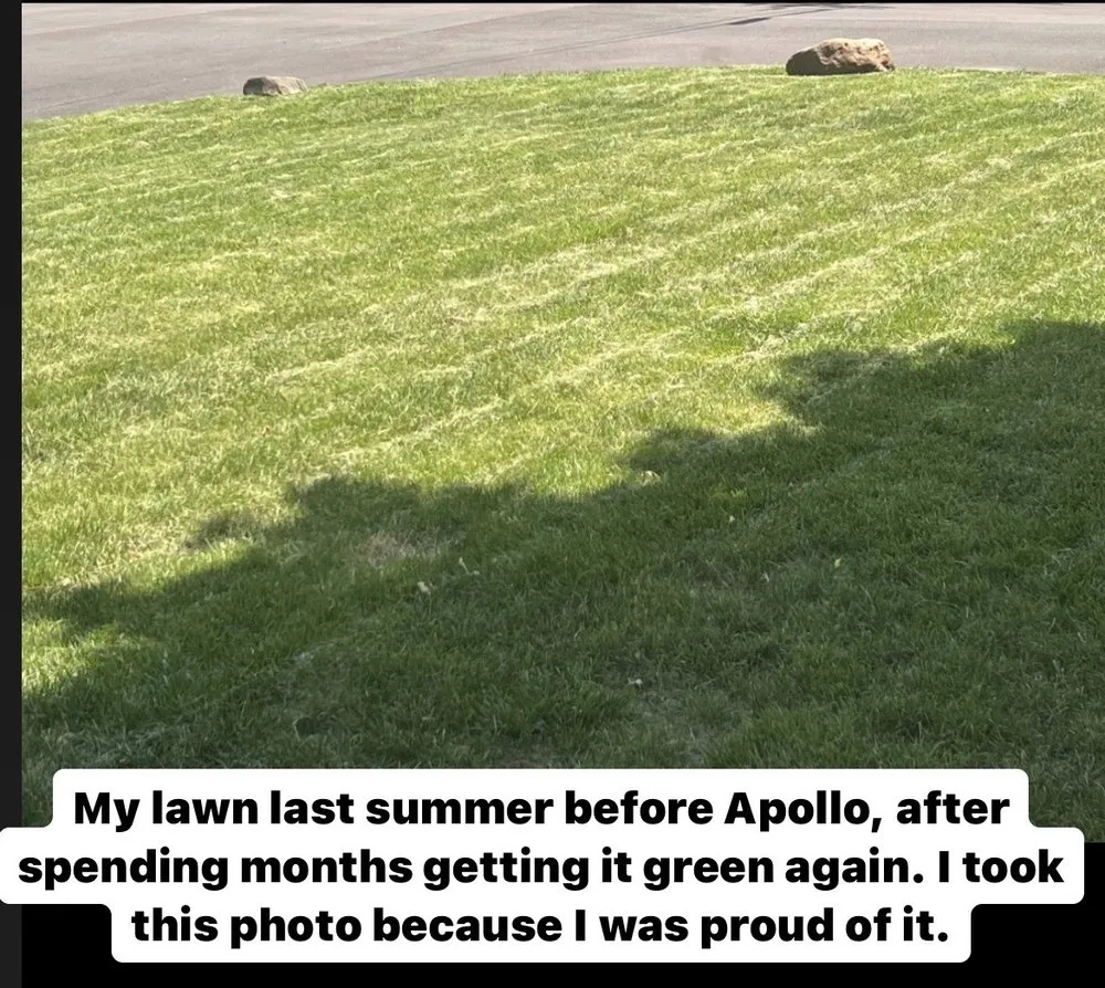 Slide of Apollo Home