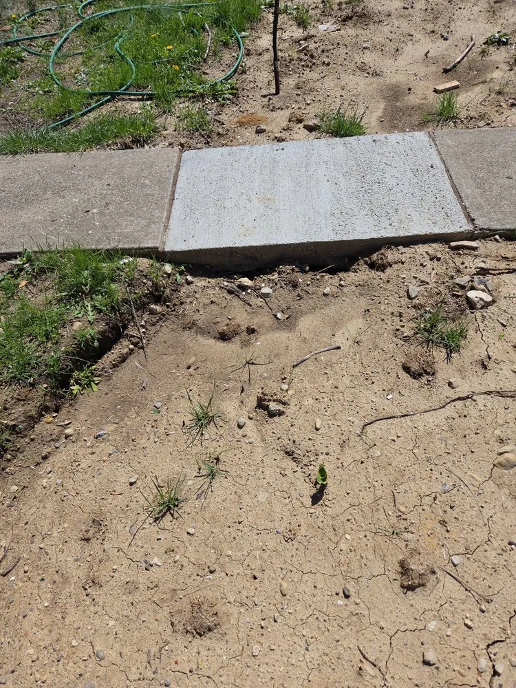 Emergency water heater service in Cincinnati, OH by Apollo Home