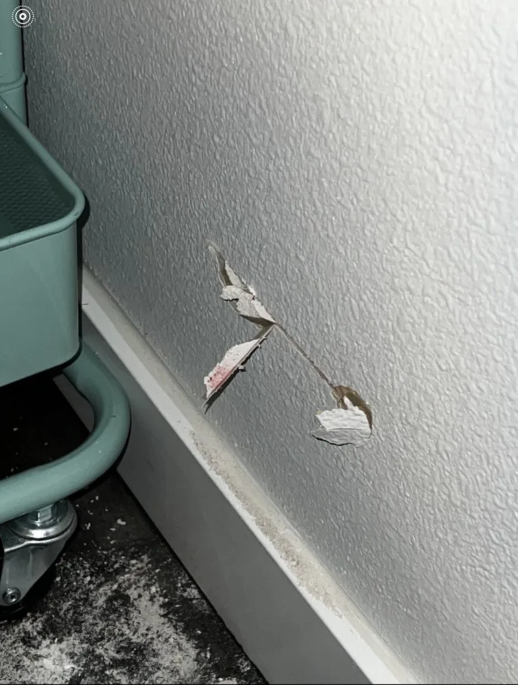 Reliable pipe repair experts serving Everett, WA - Apollo Plumbing and Rooter