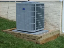 Slide of Appleton Campbell