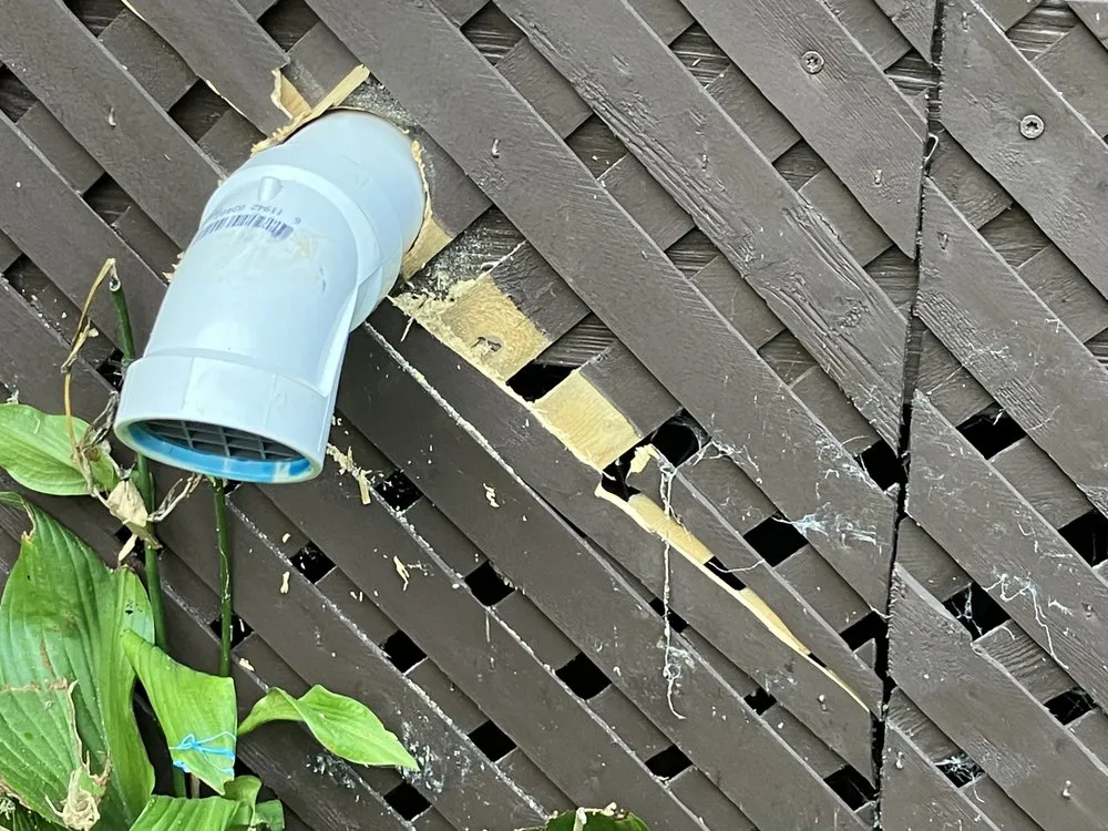 Slide of Appleton Campbell