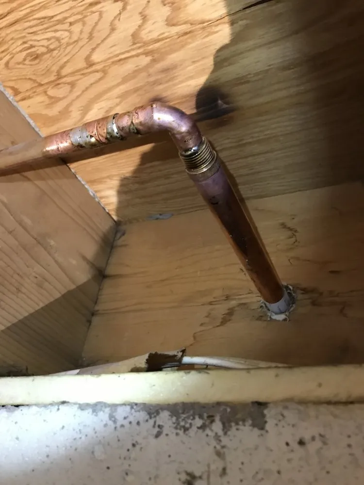 Top-rated emergency plumbing for homes in Fort Collins, CO by Applexecute