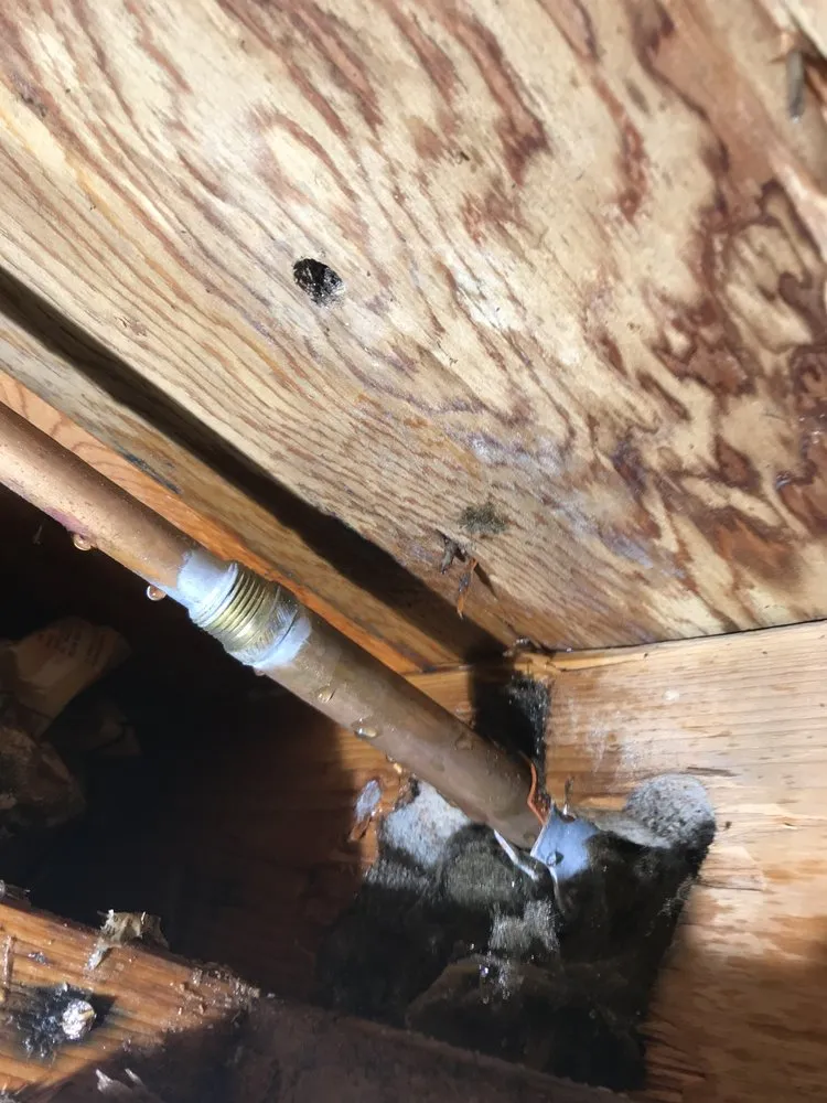 Slide of Applexecute