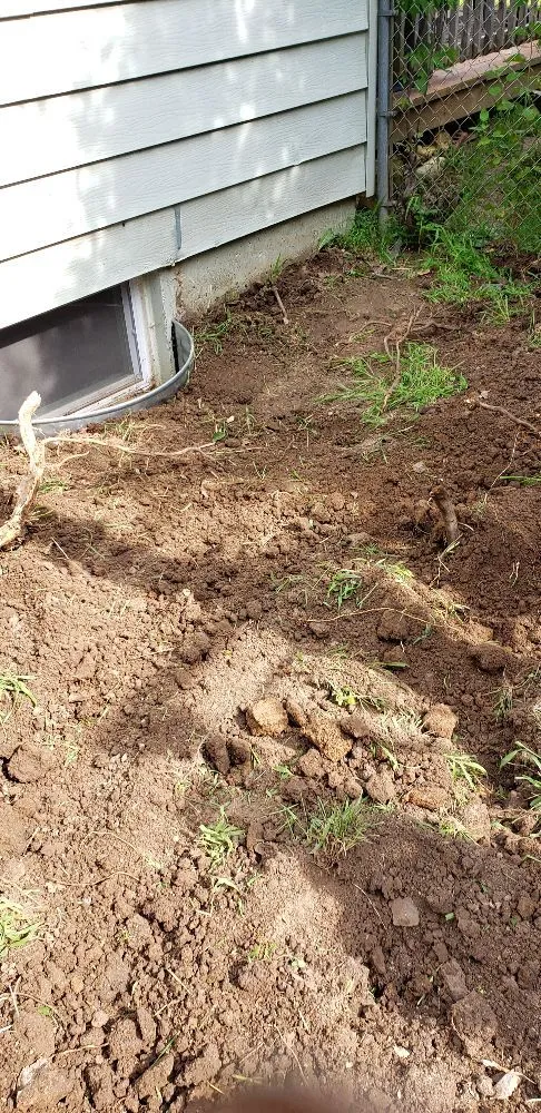 Quality leak detection for homes in Kingsville, MO by Apricot Handyman services