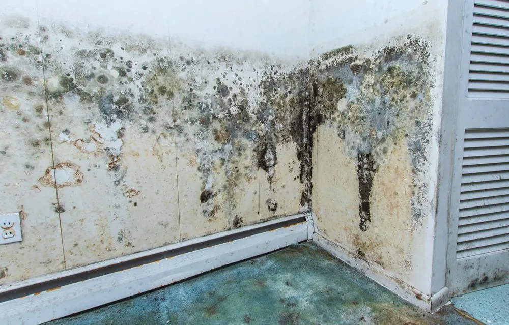 Reliable drain cleaning service in Cerritos,, CA - Aqua Affiliates