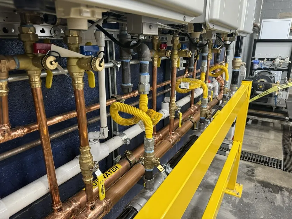 Top-rated plumbing repair service in Vista, CA - Aqua Bear Plumbing & Drain