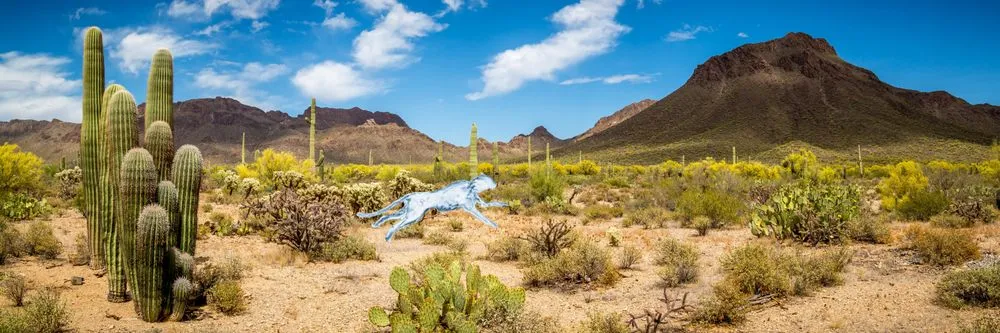 Slide of Aqua Cat Plumbing Service