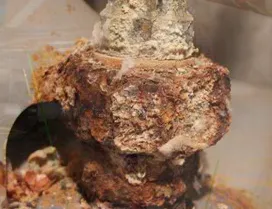 Aqua Clear Plumbing Logo