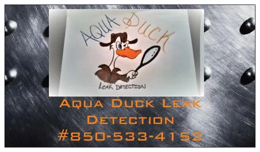 Slide of Aqua Duck Leak Detection