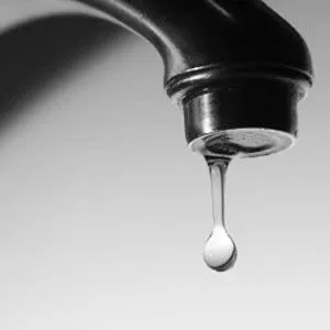 Slide of Aqua Rooters