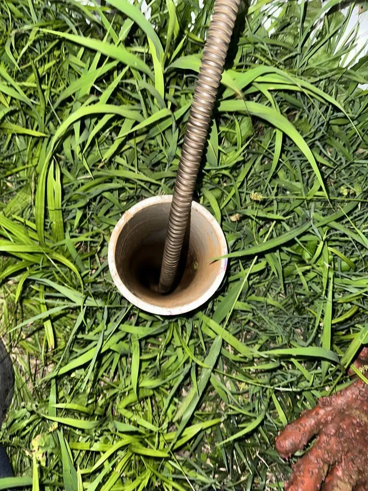 Slide of Aqua Rooters