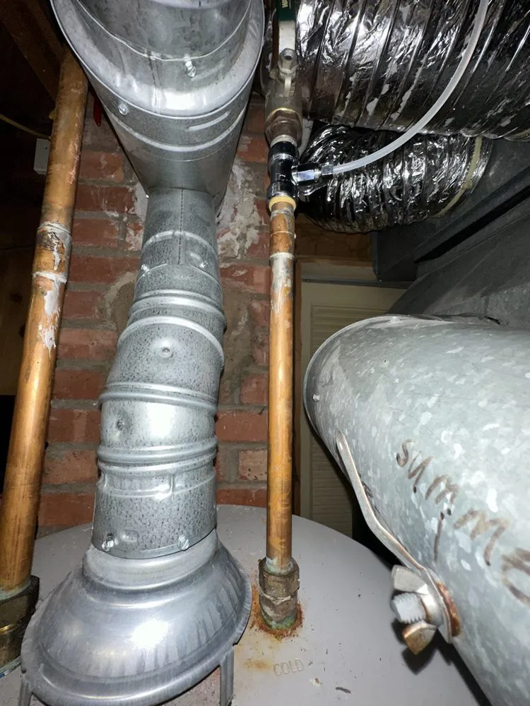 Slide of Aqua Rooters