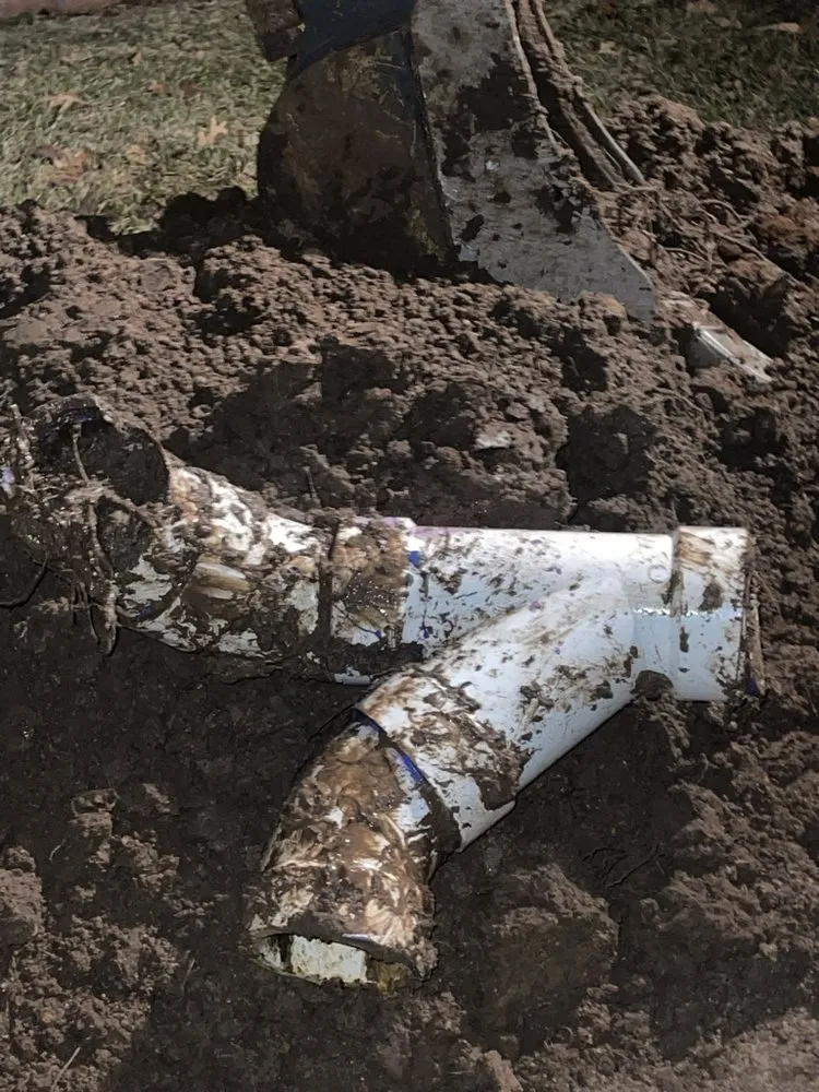 Slide of Aqua Rooters