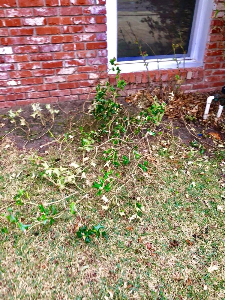 Slide of Aquarius Greenbelt