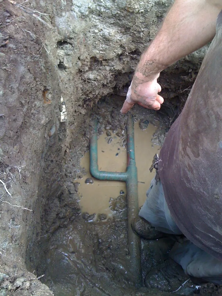 Affordable plumbing repair in Bellevue, WA by Aquarius Plumbing & Heating