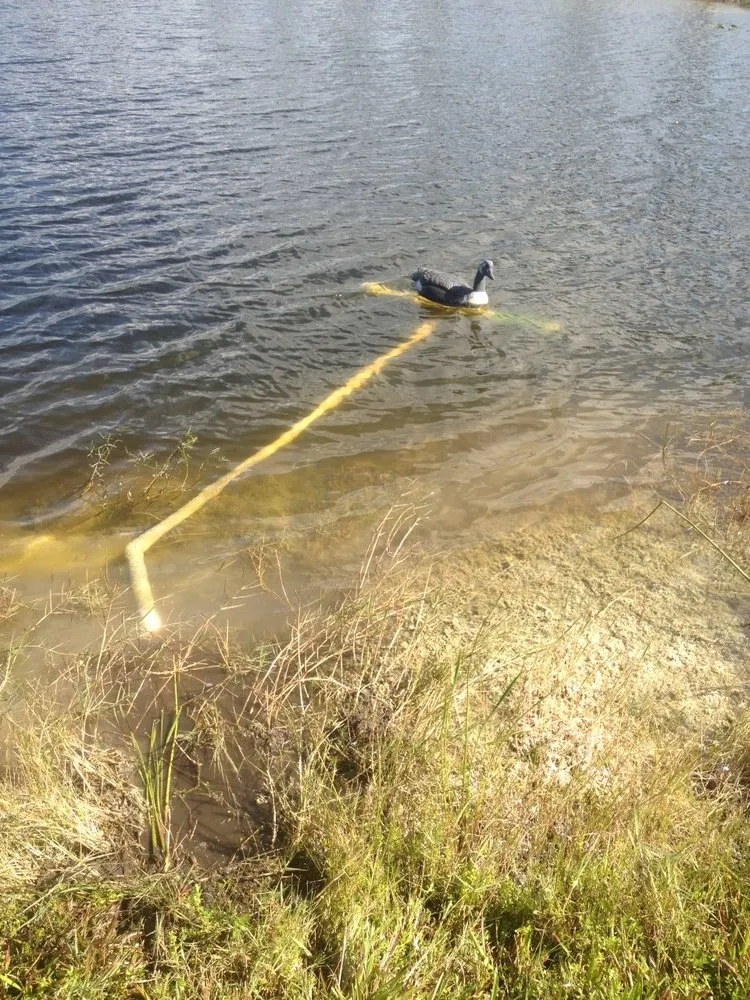 Slide of Aquarius Sprinklers