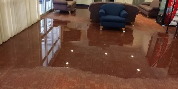 Slide of AquaTex Water Damage - Carrollton