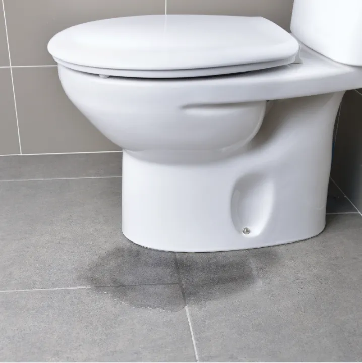 Slide of Aqueduct Plumbing