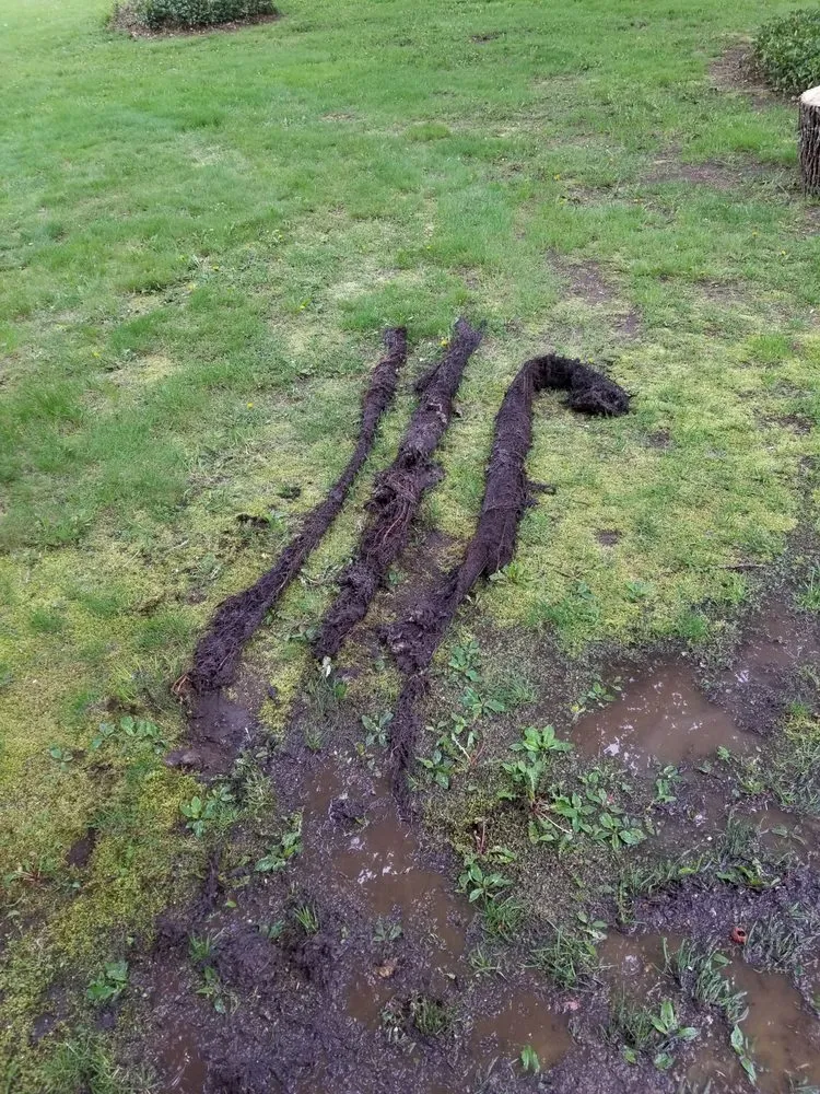 Slide of Arc-O-Rooter