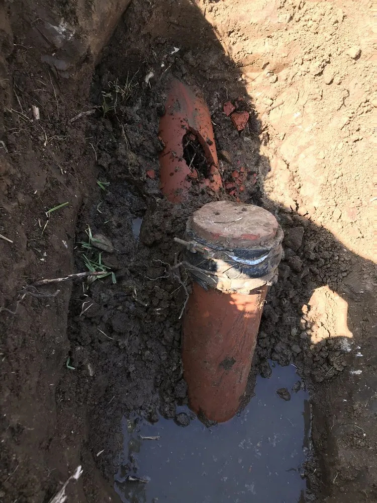 Slide of ArCor Rooter