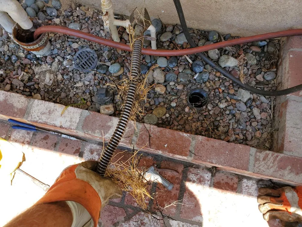 Slide of ArCor Rooter