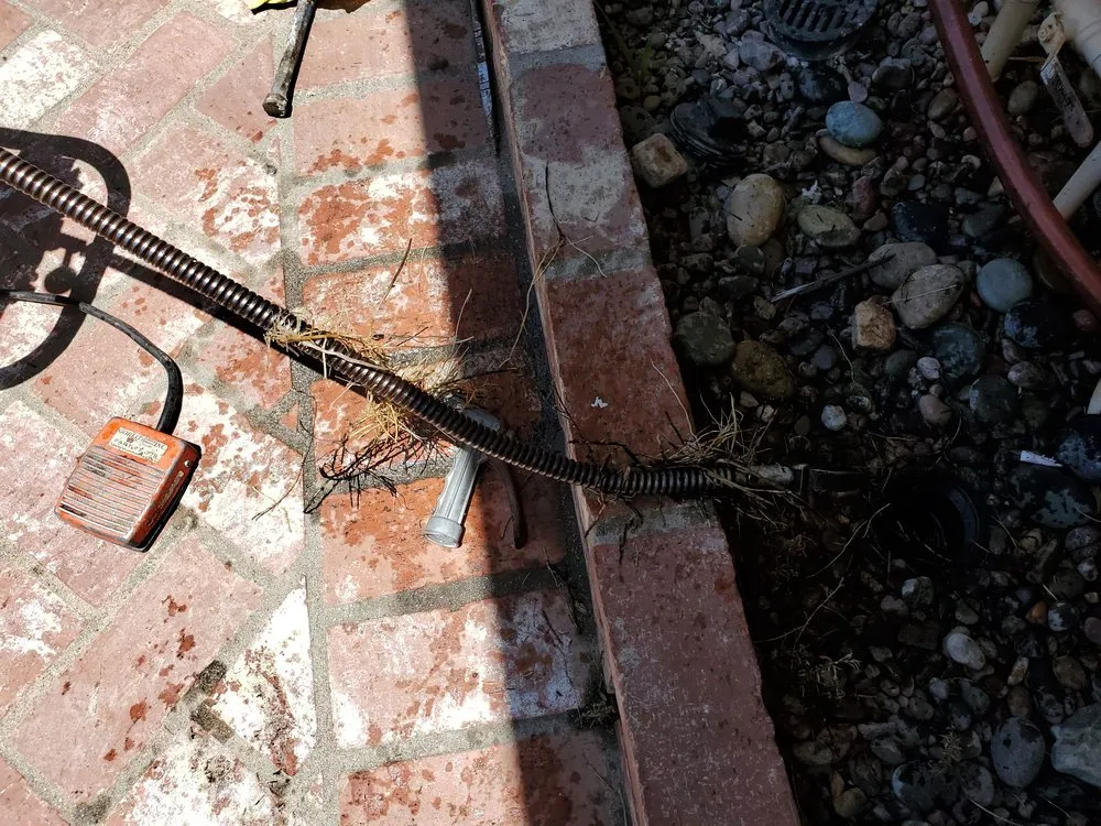 Slide of ArCor Rooter