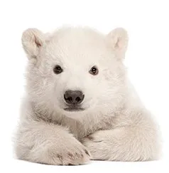 Slide of Arctic Air Home Services