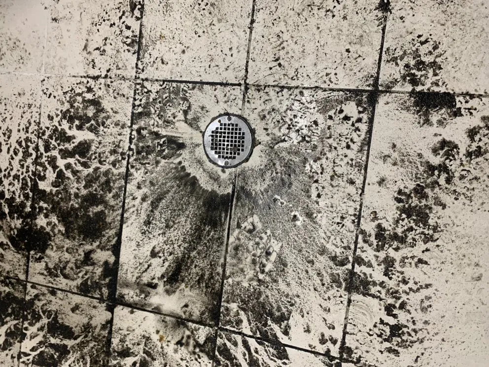 Slide of Arias STAR Plumbing