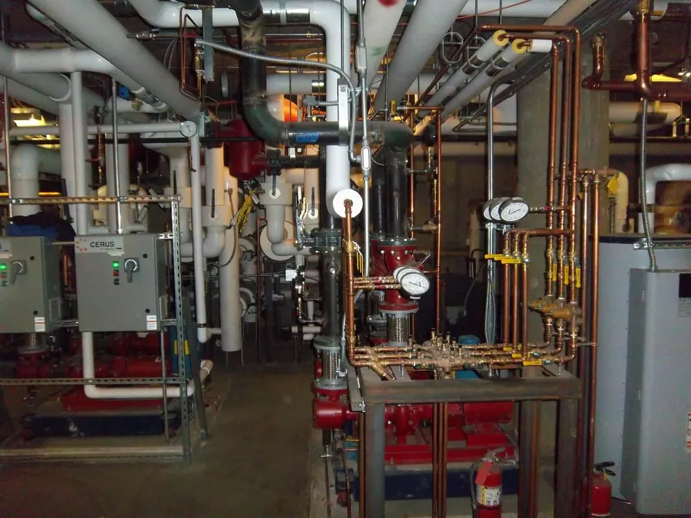 Slide of Ariosa & Company