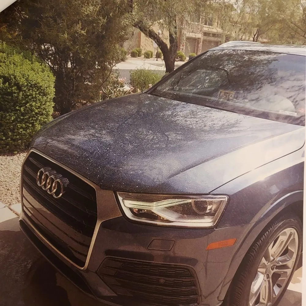 Slide of Arizona Delta Mechanical