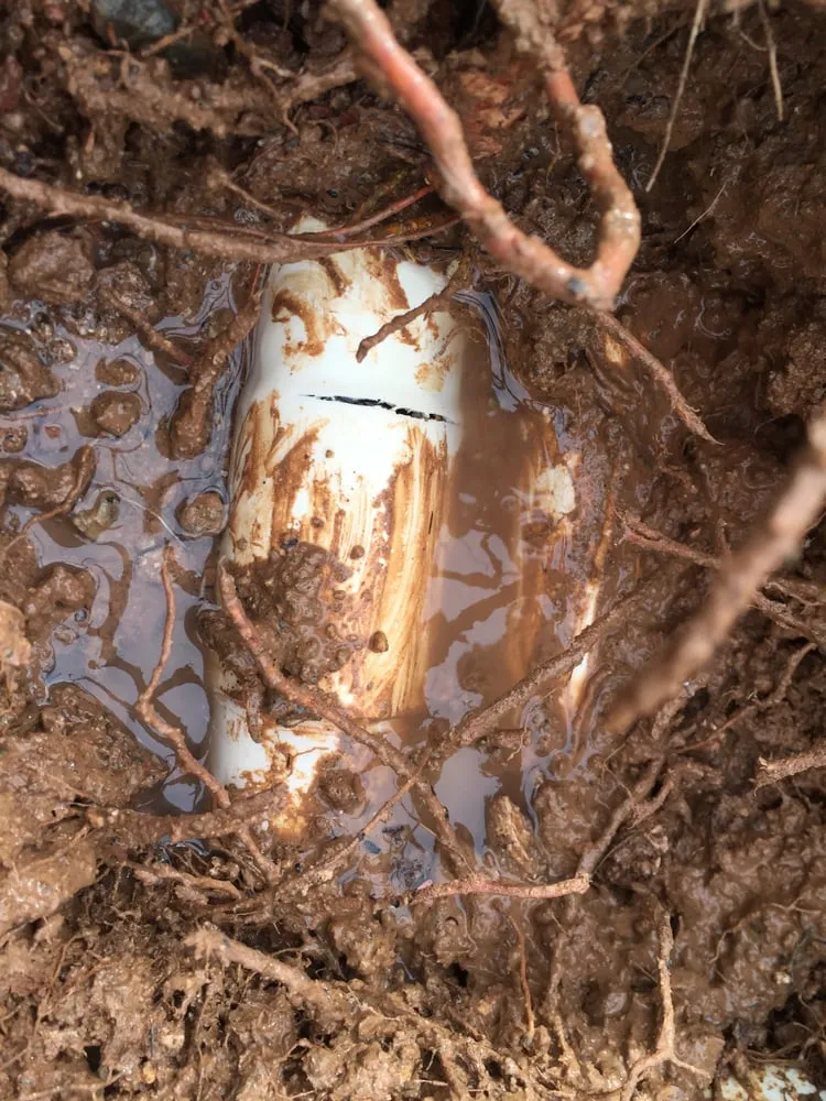 Slide of Arizona Leak Detection