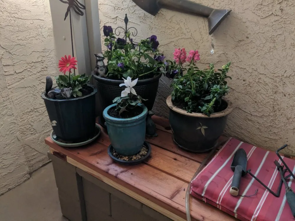 Top-rated drain cleaning for homes in Cave Creek, AZ by Arizona Maintenance Service