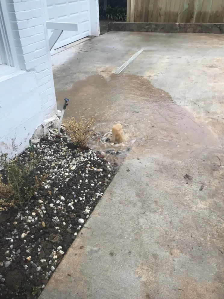 Professional drain cleaning service in Keithville, LA - Ark-La-Tex Foundation Solutions