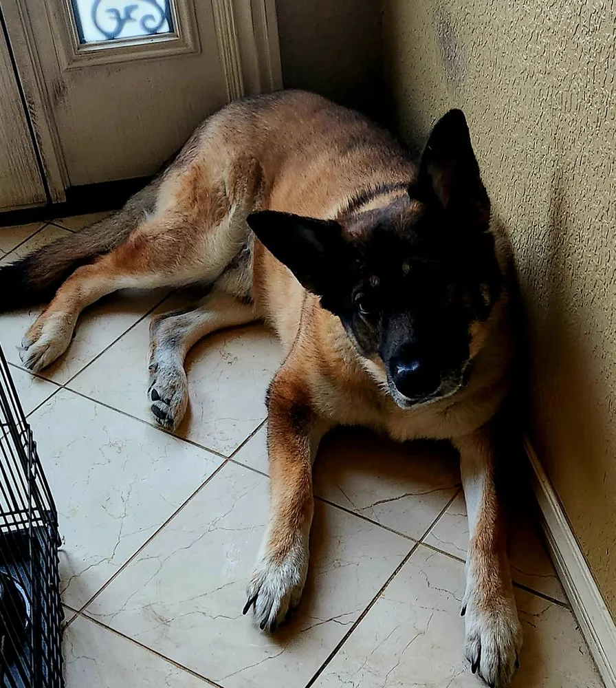 Slide of Arkansas Backflow & Plumbing