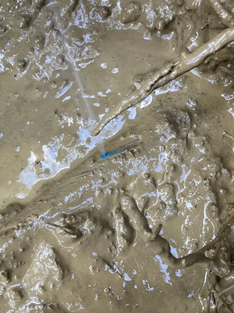 Slide of Arkansas Leak Detection