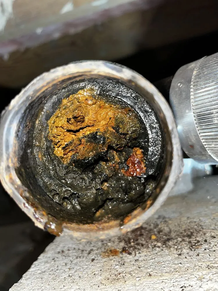 Slide of Arkansas Rooter