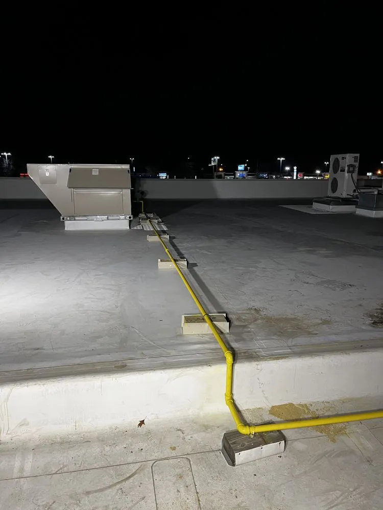 Slide of Arkansas Rooter