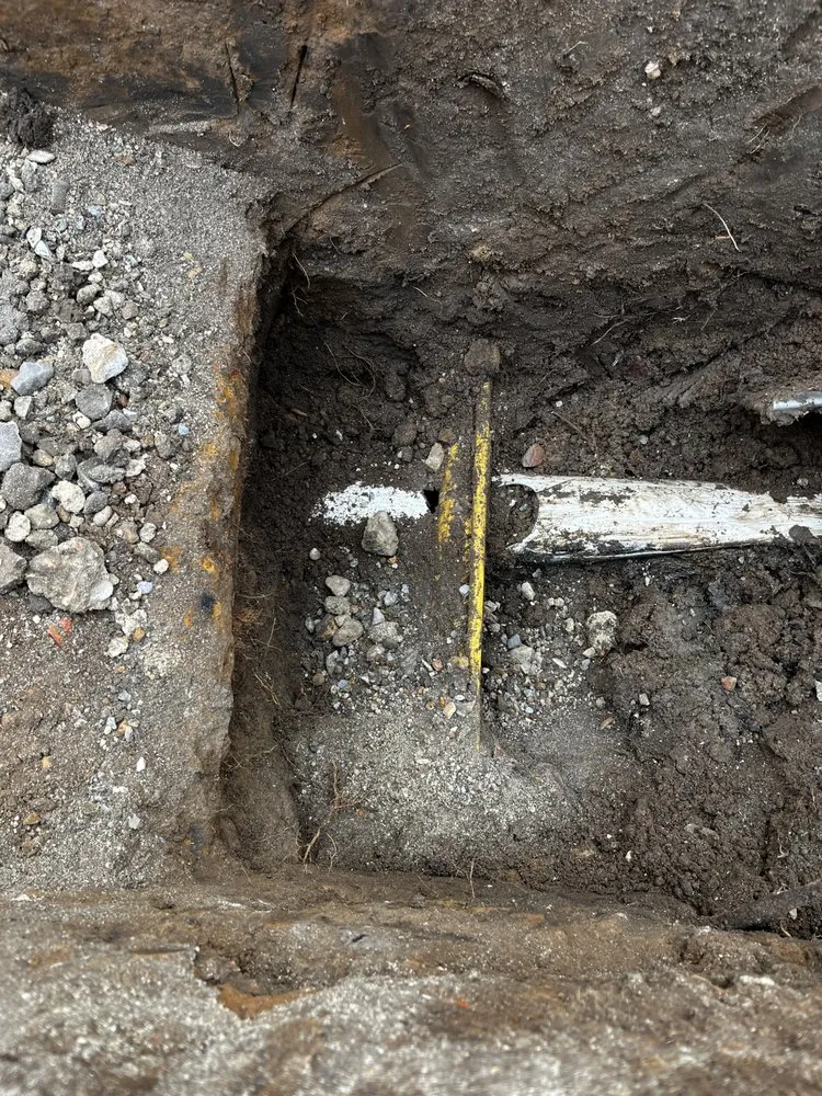 Slide of Arkansas Rooter