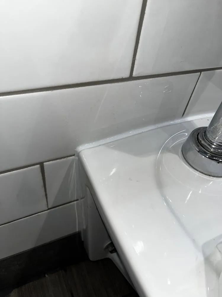 Slide of Arkansas Rooter