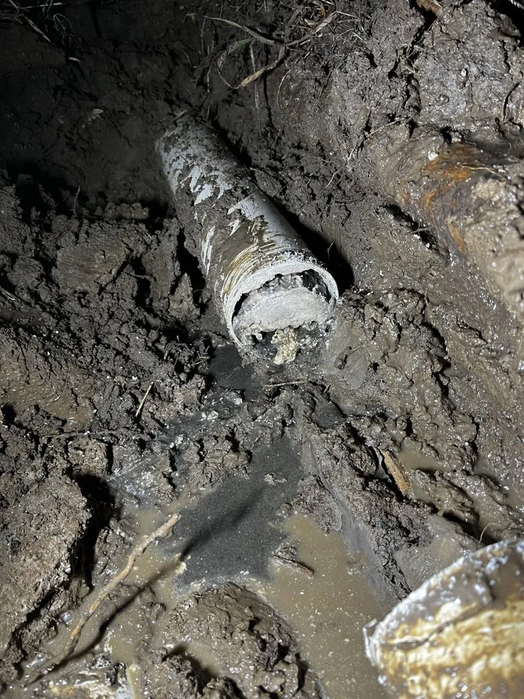 Slide of Arkansas Rooter