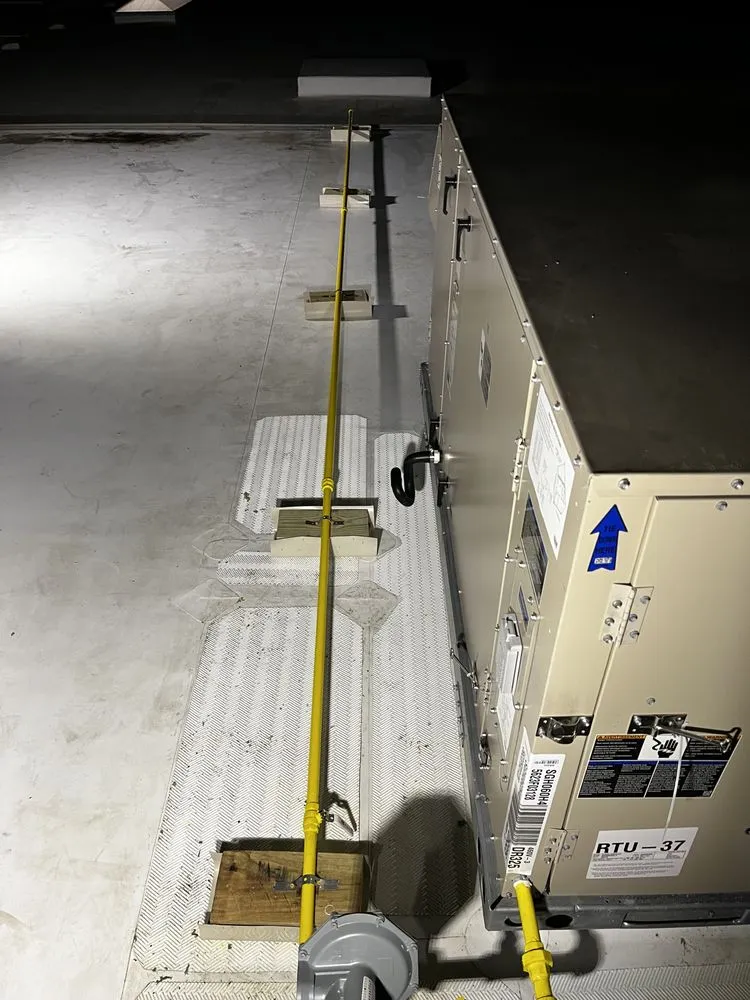 Slide of Arkansas Rooter