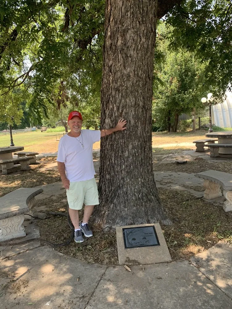 Slide of Arlington Plumbing Surgeon