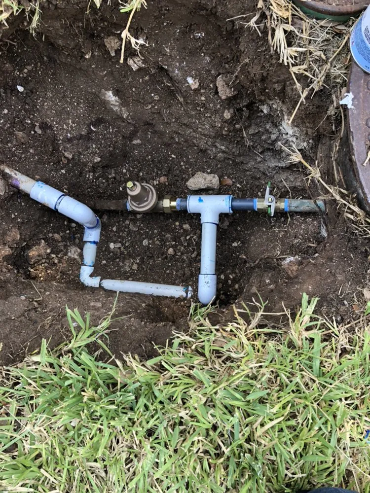 Slide of Armadillo Plumbing