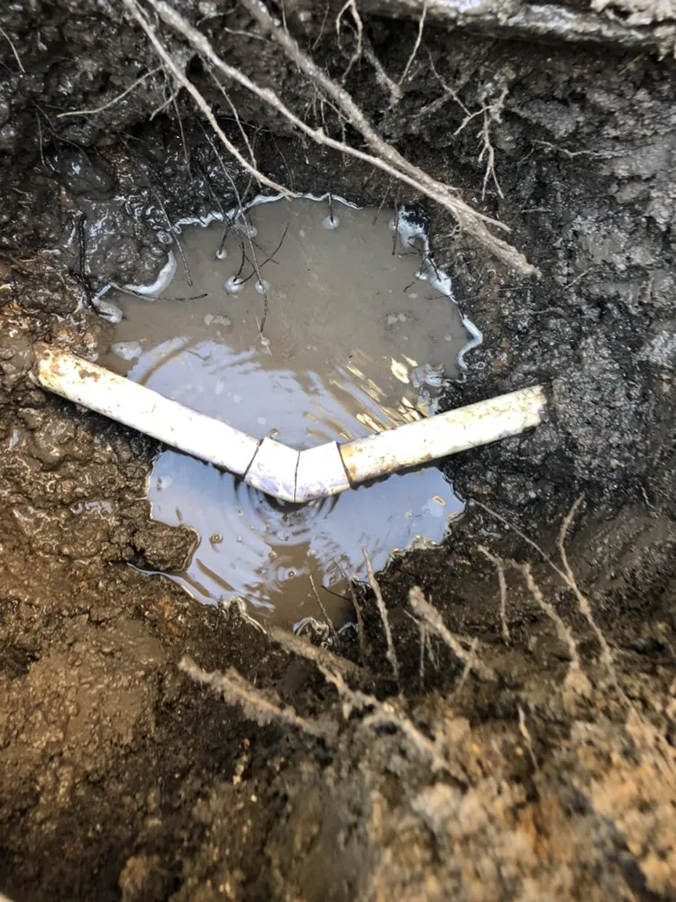 Slide of Armadillo Plumbing