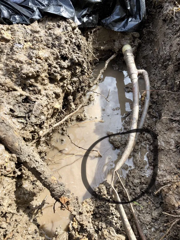 Professional emergency plumbing in Pflugerville, TX by Armadillo Plumbing