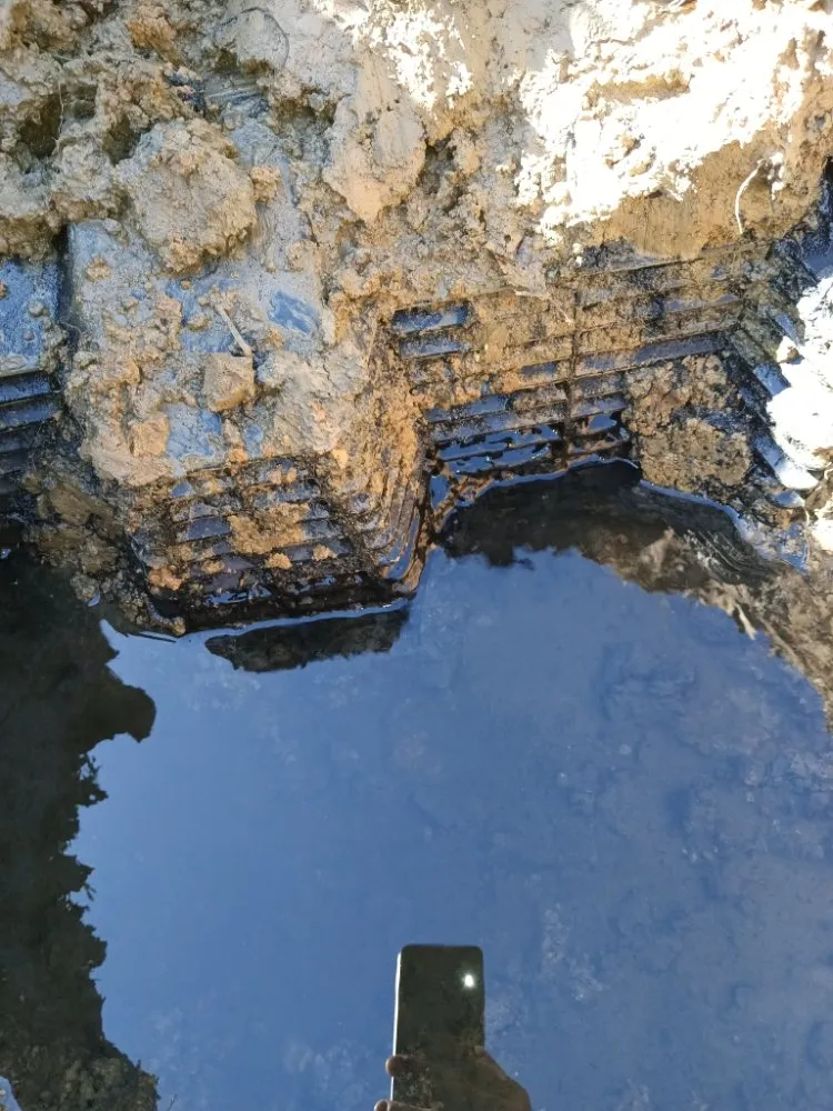 Slide of Arnold's sales